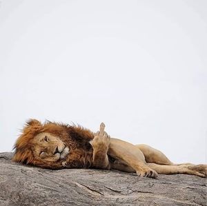 Meet your Posher, Jesus